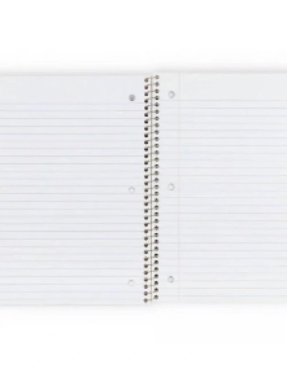 LoveShackFancy x Target One Subject Spiral Floral Notebook